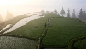 Rice Terraces - Guizhou: Hidden Hill Tribes | Image by Bike Asia