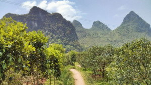 Gallery item for Guilin to Yangshuo - Backroads & Boat. | Image by Bike Asia
