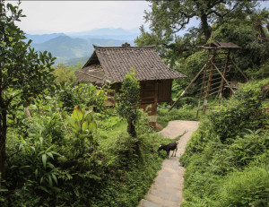 Basha Miao Village - Guizhou: Hidden Hill Tribes | Image by Bike Asia