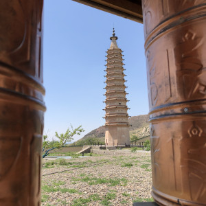 Gallery item for Ningxia: Wine and Dine in the Desert Ride. | Image by Bike Asia