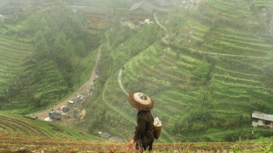 Gallery item for Guangxi - Rice Terraces & River Towns. | Image by Bike Asia